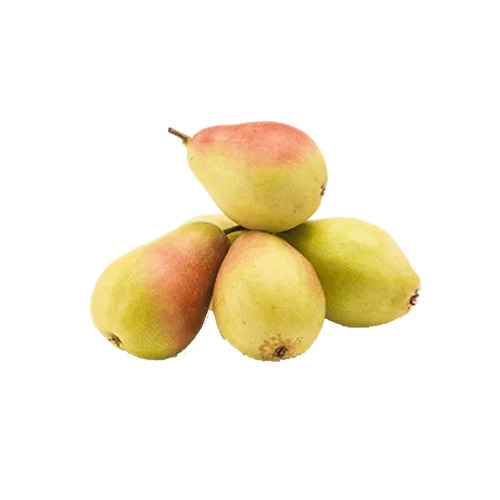 Erdallar Gross Market ARMUT SANTAMARİA