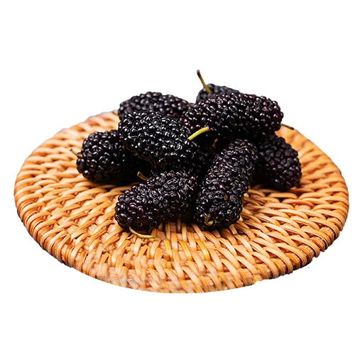 Erdallar Gross Market DUT PAKET