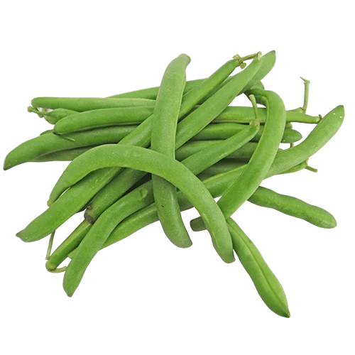 Erdallar Gross Market FASULYE TAZE