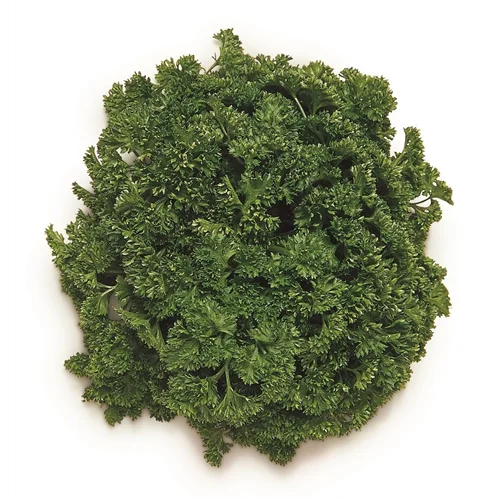 Erdallar Gross Market FRENG MAYDANOZ