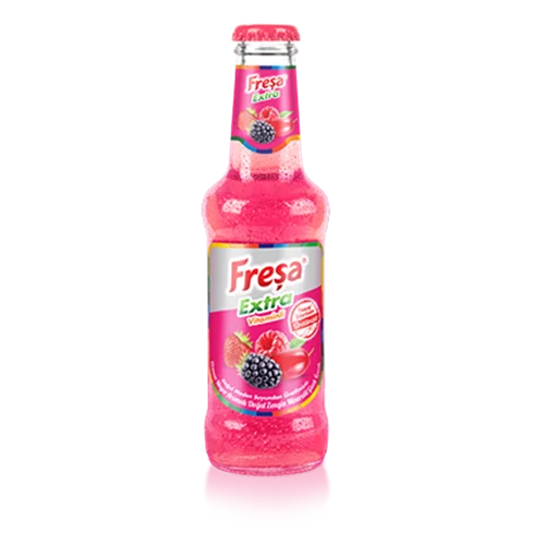 Erdallar Gross Market FREŞA EXTRA VİTAMİNLİ ORMAN MEYVELİ 200 ML