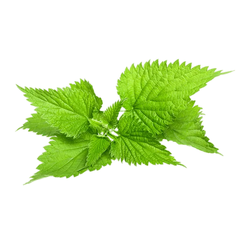 Erdallar Gross Market ISIRGAN OTU