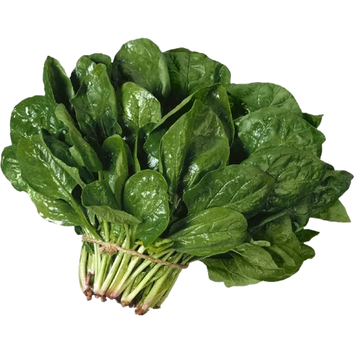 Erdallar Gross Market ISPANAK