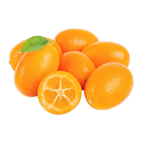 Erdallar Gross Market KAMKAT PAKET