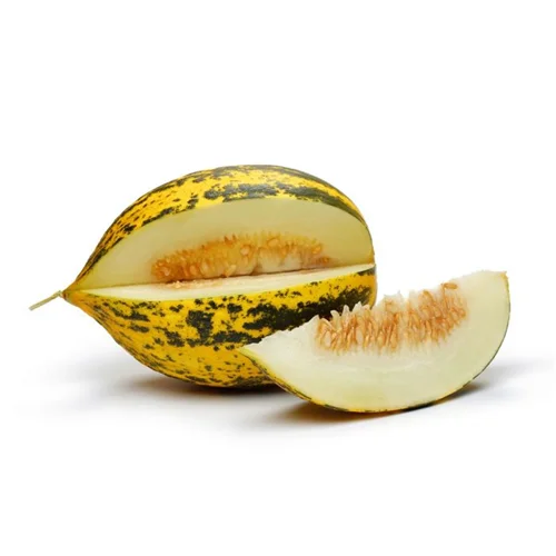 Erdallar Gross Market KAVUN KG