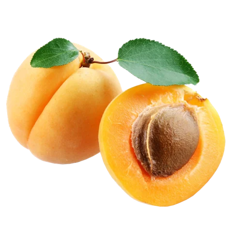 Erdallar Gross Market KAYISI KG