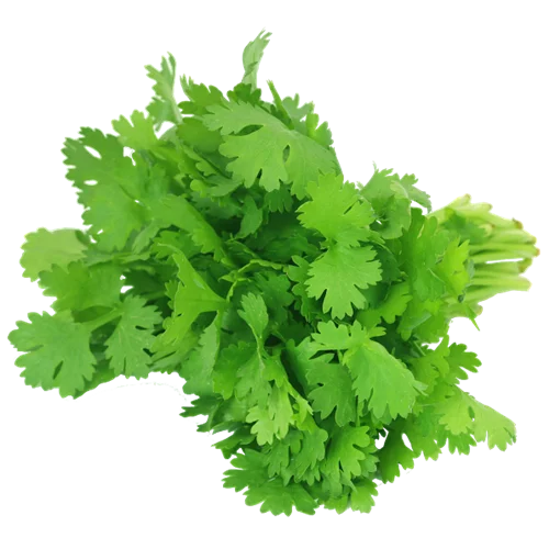 Erdallar Gross Market KİŞNİŞ