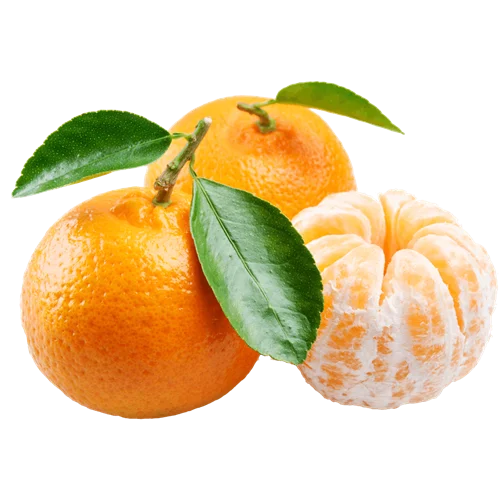 Erdallar Gross Market MANDALİN KİNG