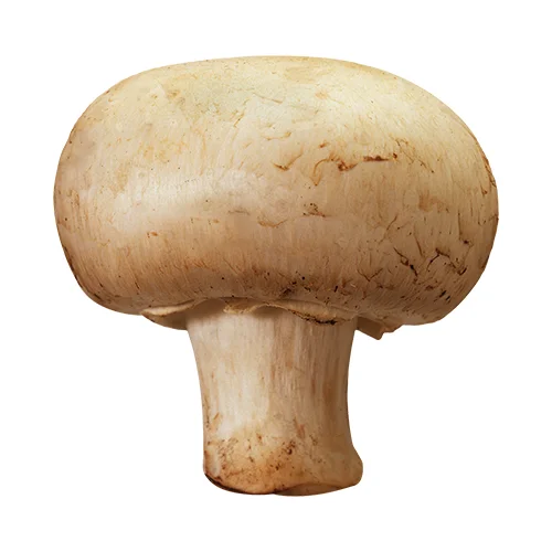 Erdallar Gross Market MANTAR