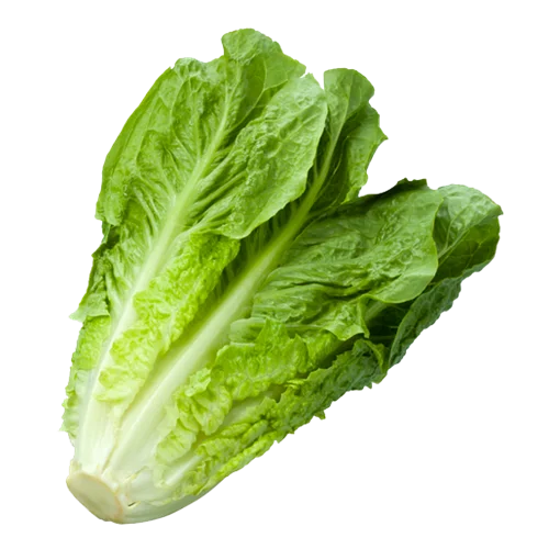 Erdallar Gross Market MARUL