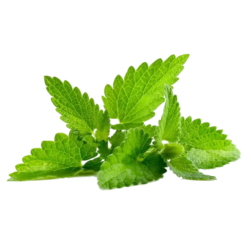 Erdallar Gross Market NANE