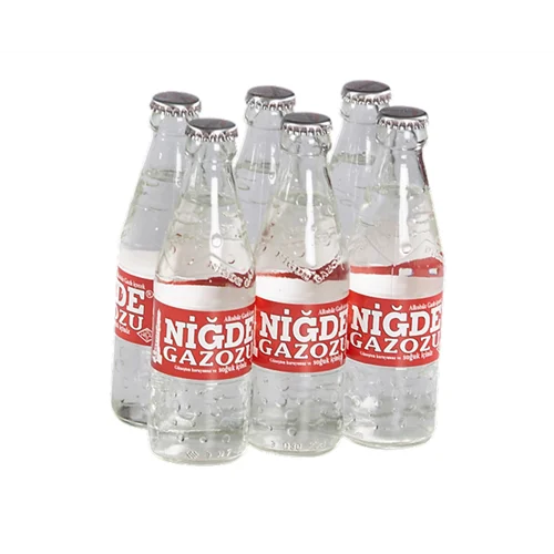 Erdallar Gross Market NİĞDE GAZOZ  250 MLX6 LI