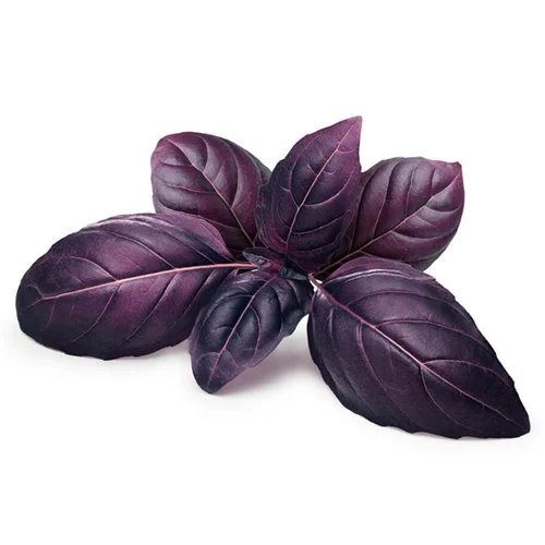 Erdallar Gross Market REYHAN