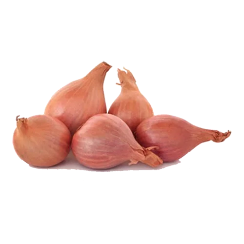 Erdallar Gross Market SOĞAN ARPACIK