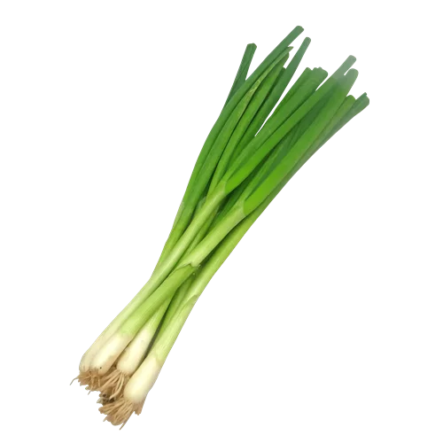 Erdallar Gross Market SOĞAN YEŞİL