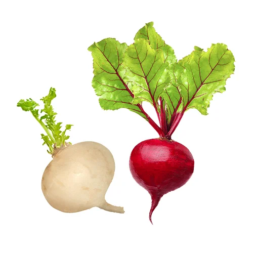 Erdallar Gross Market TURP KIRMIZI/BEYAZ ÇEŞİTLERİ