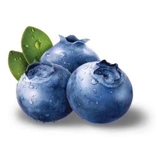 Erdallar Gross Market YABAN MERSİNİ