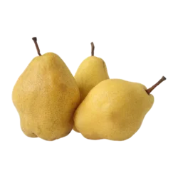 Erdallar Gross Market ARMUT MARGARİT