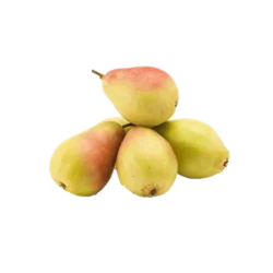 Erdallar Gross Market ARMUT SANTAMARİA