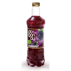 Erdallar Gross Market DOĞANAY KARADUT ŞERBETİ PET 1 LT