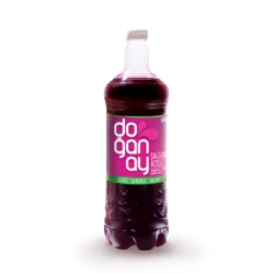 Erdallar Gross Market DOĞANAY ŞALGAM ACISIZ 2 LT