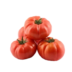 Erdallar Gross Market DOMATES KÖY