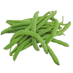 Erdallar Gross Market FASULYE TAZE