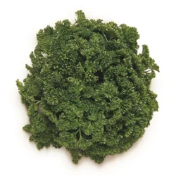 Erdallar Gross Market FRENG MAYDANOZ