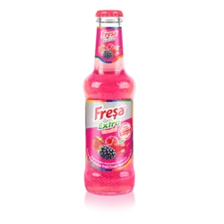 Erdallar Gross Market FREŞA EXTRA VİTAMİNLİ ORMAN MEYVELİ 200 ML