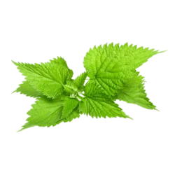 Erdallar Gross Market ISIRGAN OTU