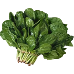 Erdallar Gross Market ISPANAK