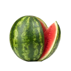 Erdallar Gross Market KARPUZ