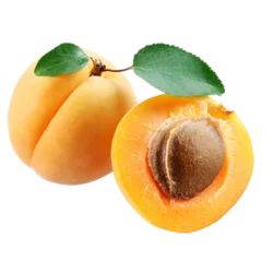 Erdallar Gross Market KAYISI KG