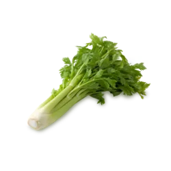 Erdallar Gross Market KEREVİZ