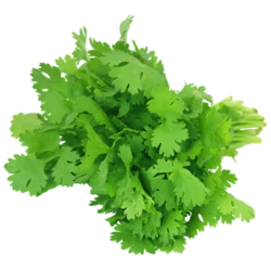 Erdallar Gross Market KİŞNİŞ