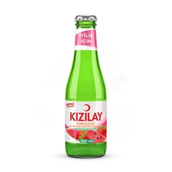 Erdallar Gross Market KIZILAY MADEN SUYU 200 ML KARPUZ-ÇİLEK