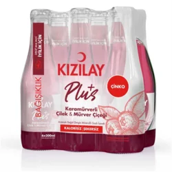 Erdallar Gross Market KIZILAY PLUS KARAMÜR. ÇİLEK MÜRV.ÇİÇEĞİ 200 X 6