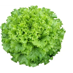 Erdallar Gross Market MARUL KIVIRCIK