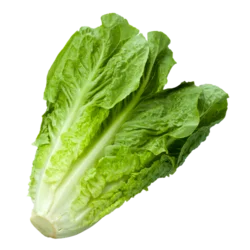 Erdallar Gross Market MARUL