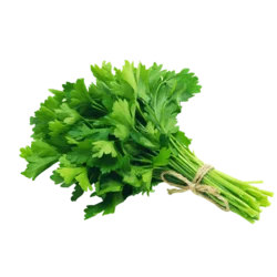 Erdallar Gross Market MAYDANOZ