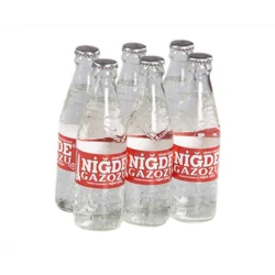 Erdallar Gross Market NİĞDE GAZOZ  250 MLX6 LI