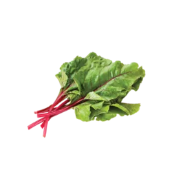 Erdallar Gross Market PAZI