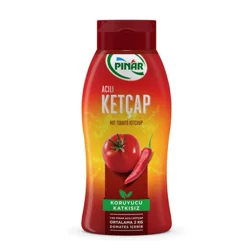 Erdallar Gross Market PINAR KETÇAP ACILI ŞİŞE 420 GR