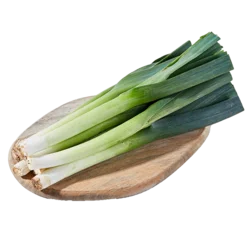 Erdallar Gross Market PIRASA