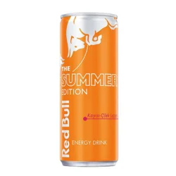 Erdallar Gross Market RED BULL SUMMER EDİTION KAYISI ÇİLEK TNK 250 ML