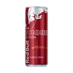 Erdallar Gross Market RED BULL SUMMER EDİTİON ŞEFTALİ 250 ML