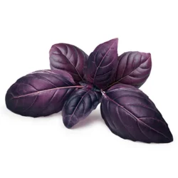 Erdallar Gross Market REYHAN