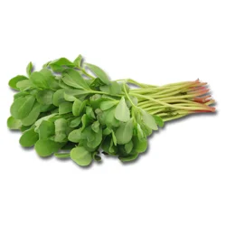 Erdallar Gross Market SEMİZ OTU