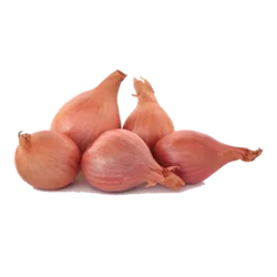 Erdallar Gross Market SOĞAN ARPACIK