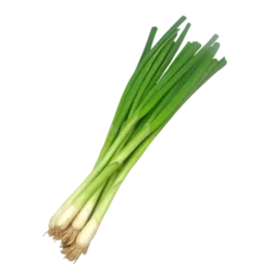 Erdallar Gross Market SOĞAN YEŞİL